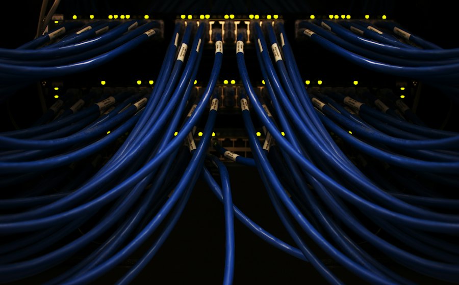 Cables de red conectados en un servidor